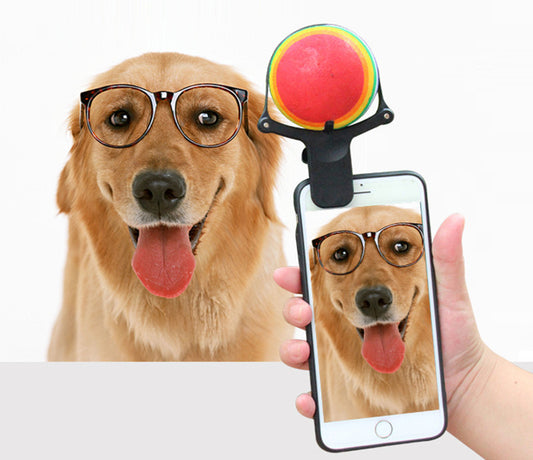 Clip per Selfie Cane ๐ธ Ottieni la Foto Perfetta con la Pallina da Tennis