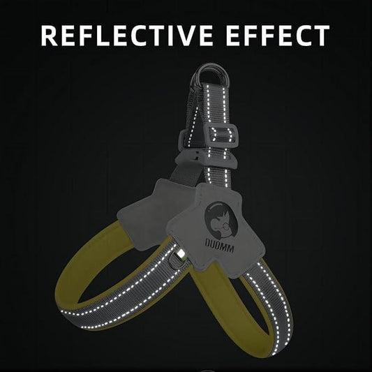 Set di pettorina e guinzaglio regolabili per cuccioli