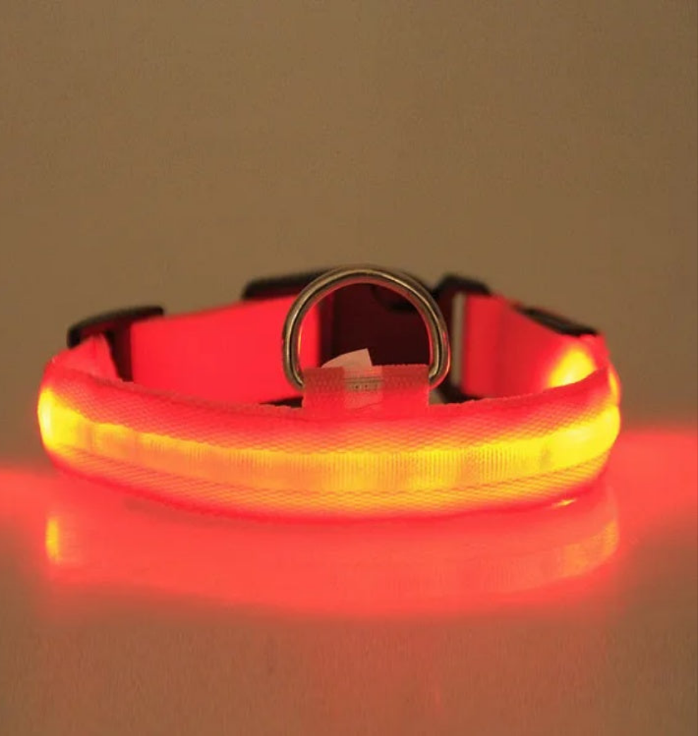 Collare di sicurezza a LED per animali domestici