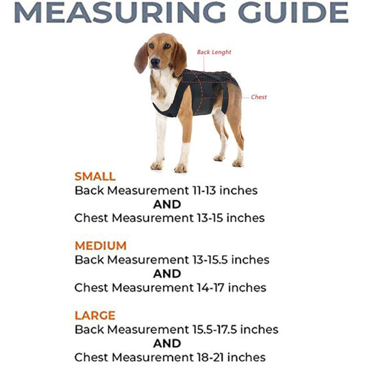 Ultimate Supportive Back Brace For Dogs: Ivdd, Arthritis, And Back Pain Relief-1