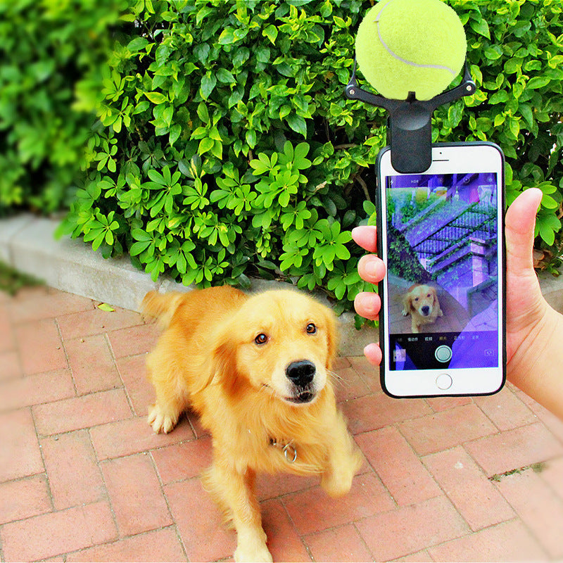 Clip per Selfie Cane 📸 Ottieni la Foto Perfetta con la Pallina da Tennis