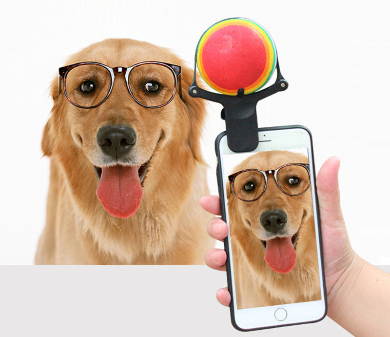 Clip per Selfie Cane 📸 Ottieni la Foto Perfetta con la Pallina da Tennis