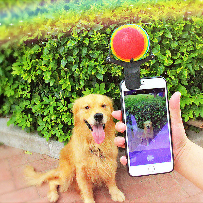 Clip per Selfie Cane 📸 Ottieni la Foto Perfetta con la Pallina da Tennis