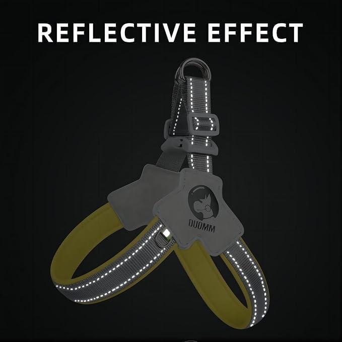 Set di pettorina e guinzaglio regolabili per cuccioli