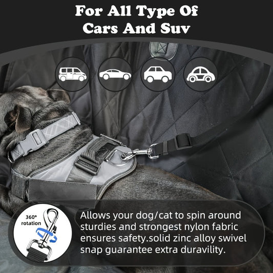 Il set guinzaglio-pettorina (2 pz) per cani