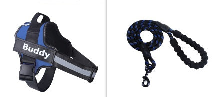 Pettorina e Guinzaglio Glamour Semplice