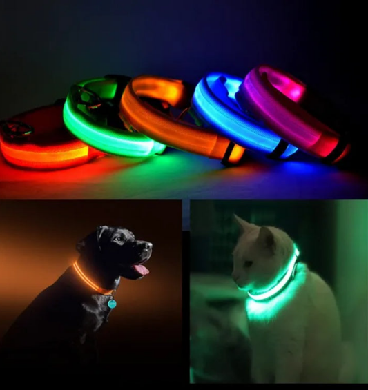 Collare di sicurezza a LED per animali domestici