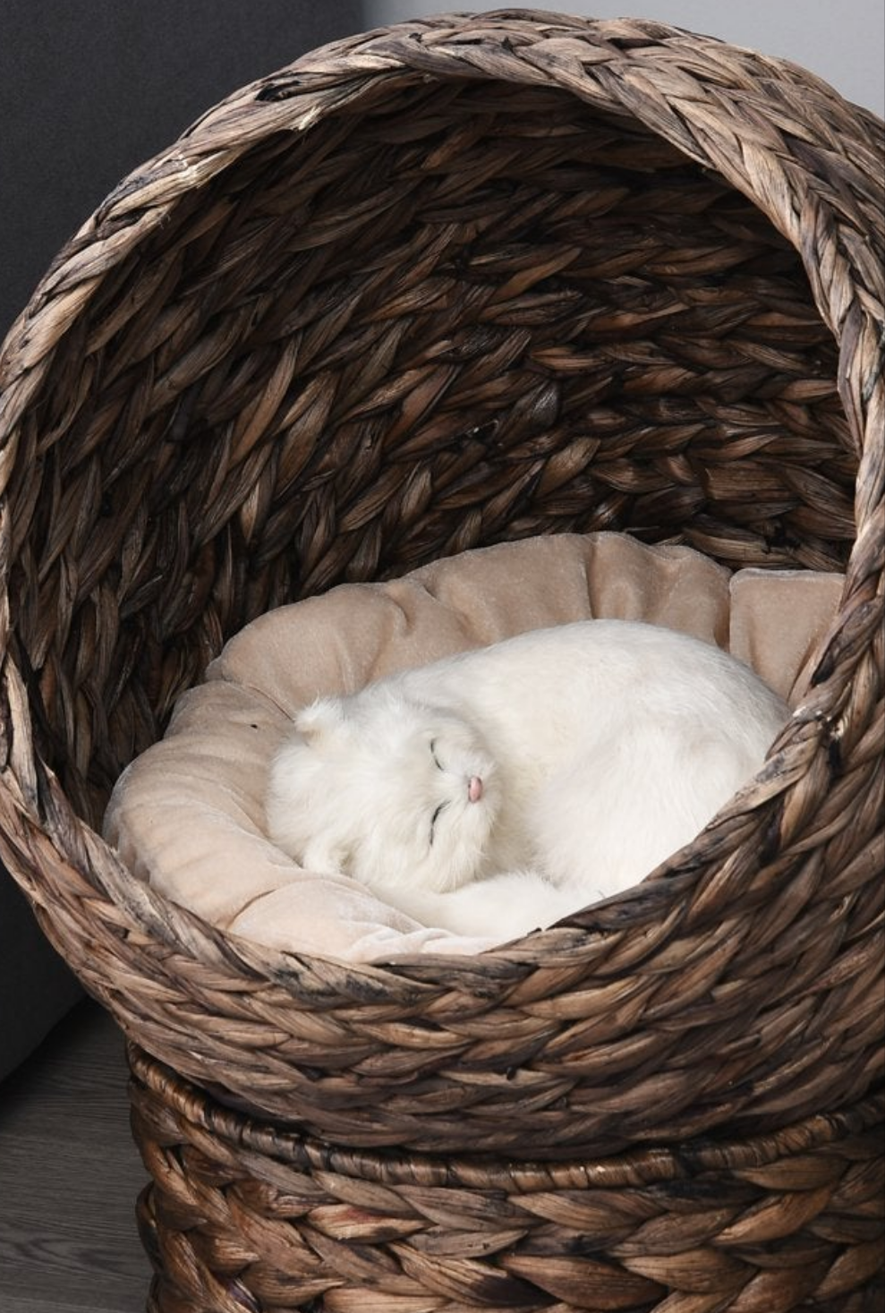 Cesta rialzata in vimini intrecciato a mano per gatti con cuscino, marrone scuro, per gattini