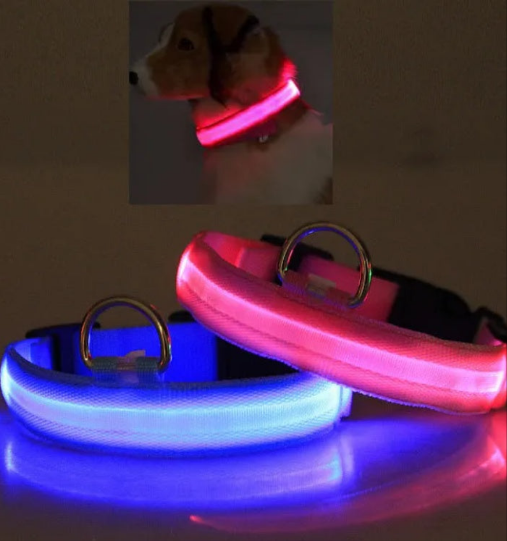 Collare di sicurezza a LED per animali domestici