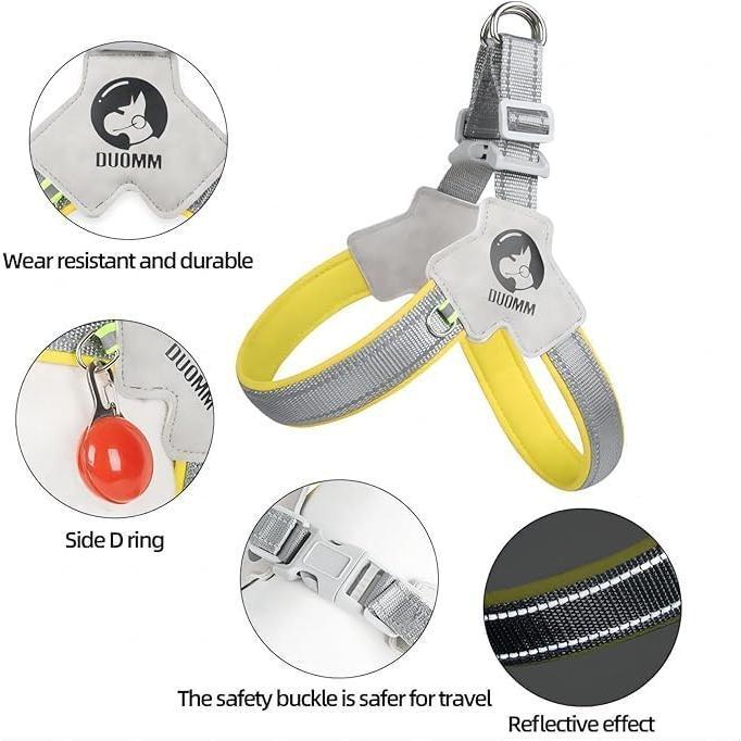 Set di pettorina e guinzaglio regolabili per cuccioli