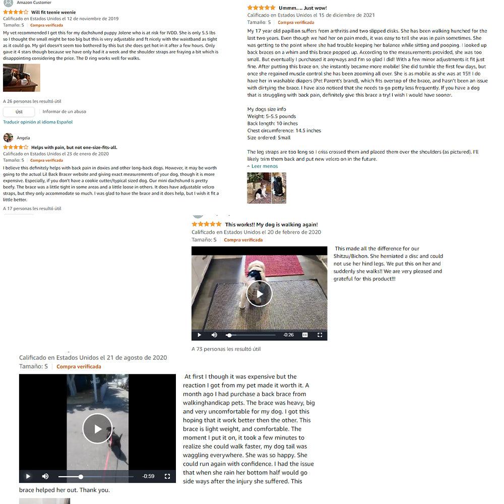 Ultimate Supportive Back Brace For Dogs: Ivdd, Arthritis, And Back Pain Relief-2