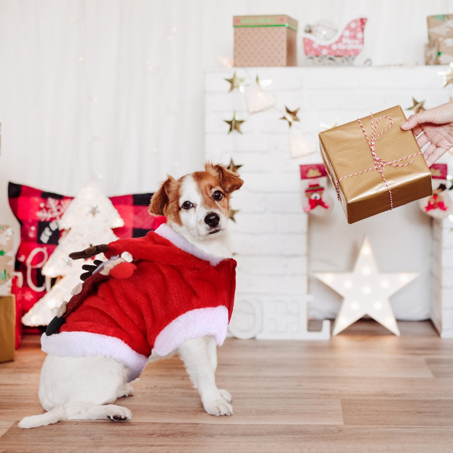 Vestito di Natale per Animali Domestici - Costume da Babbo Natale e Renna con Corna