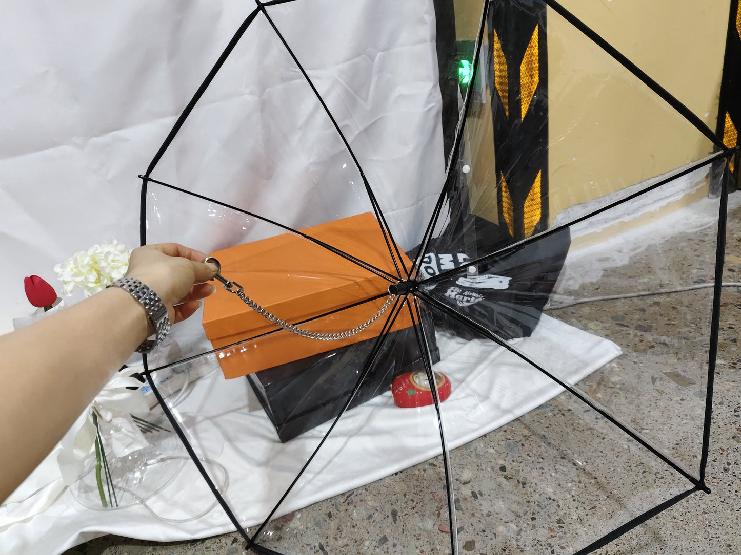 Ombrello a C Trasparente Regolabile per Animali Domestici