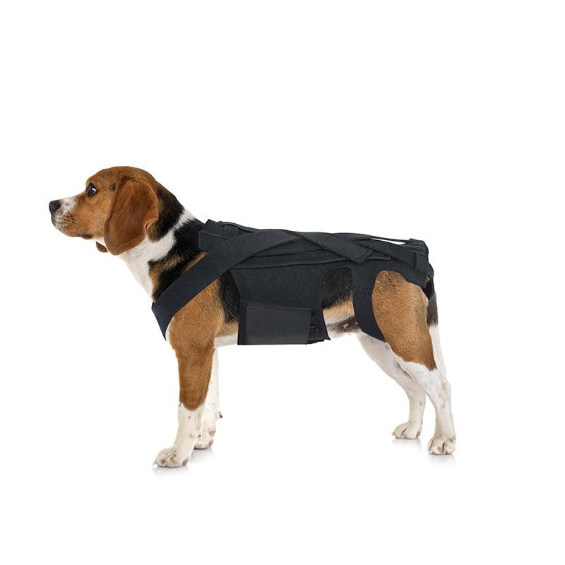 Ultimate Supportive Back Brace For Dogs: Ivdd, Arthritis, And Back Pain Relief-0